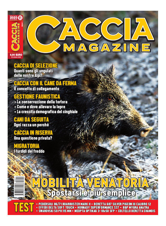 CACCIA MAGAZINE - Novembre 2020 - cartaceo