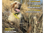 BECCACCE CHE PASSIONE - Aprile / Maggio / Giugno 2025 - digitale