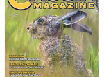 CACCIA MAGAZINE - Agosto 2025 - cartaceo